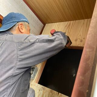 大阪のネズミ、イタチ、アライグマ、ハクビシン、駆除 - 地元のお店