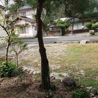 庭木要りませんか