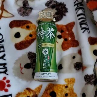 伊右衛門特茶