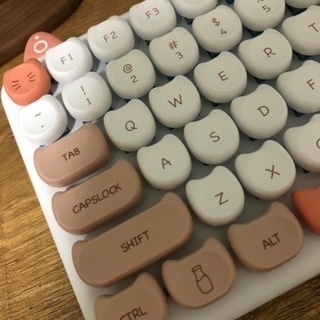 お譲り先決まりました　iqunix m80 猫キーボード　ラグドールの画像