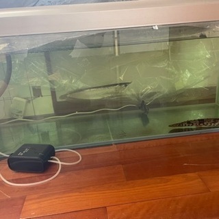 120センチ規格水槽
