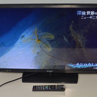 中古良品 2015製造モデル SHARP AQUOS LC-32H20 直下型LEDバックライト液晶テレビ 32V型 HDMI テレビ確認済