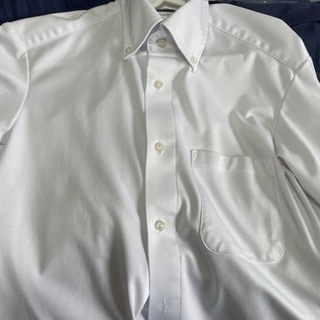 ハルヤマ　完全ノンアイロンシャツ　I-shirt
