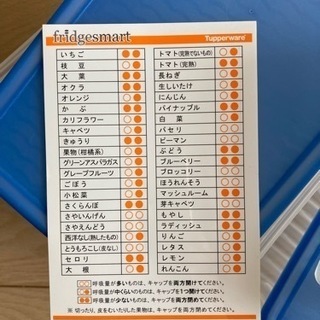 【廃盤・希少】タッパーウェア　フリッジスマートの画像