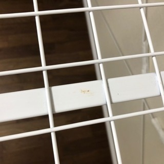 取引者決まりました【タダで差し上げます】ロフトベッド 階段付きの画像