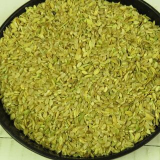 2021年産　小米　15kg