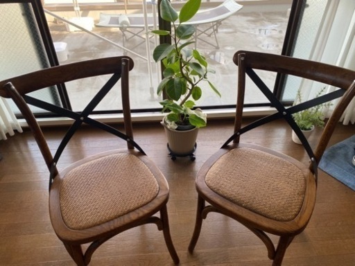 ウンコちゃん家具で一脚12,800-で購入した商品です！