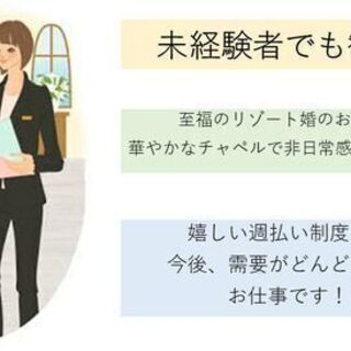 11/1スタート！ドレスお手入れのお仕事です！
