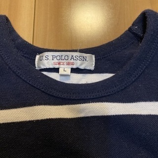 POLO Ｔシャツの画像