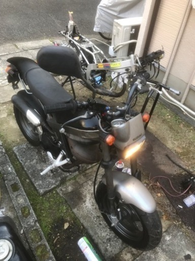 ストリートマジック50ほぼ確定しました