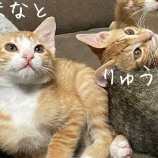 仲良し兄弟です！！