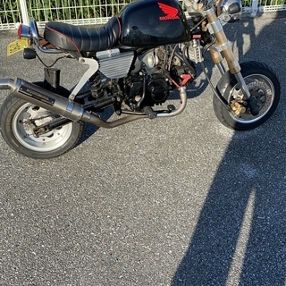 モンキー