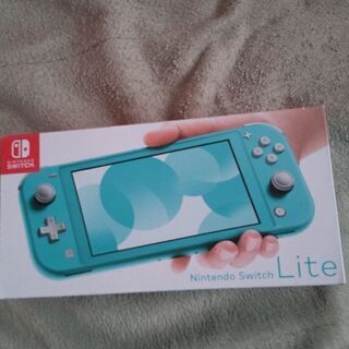 Switchライト本体ソフトの画像