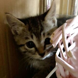 一時停止します<(_ _)>