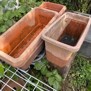 差し上げます(^^)ガーデニング プランター各種 小さな鉢の画像