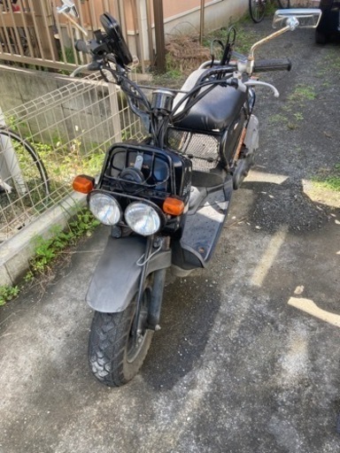 【不動】ズーマー　キャブ車