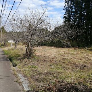七尾市中島町　売土地　150万円 - 土地販売/土地売買