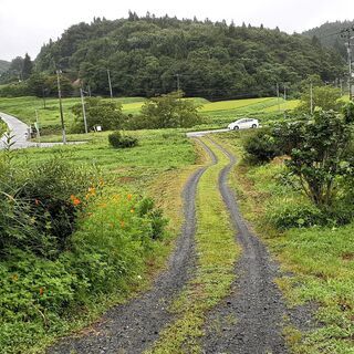 作曲をパソコンでしたいのですが…