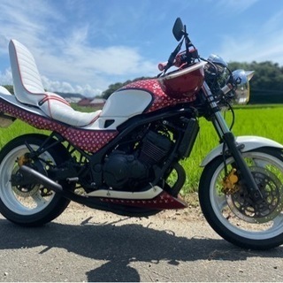 バリオス 即走行可能 ZR250A 九州県内場所によりますが配送しますの画像