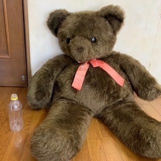巨大クマちゃん無料で譲ります！（詳細必読！）の画像