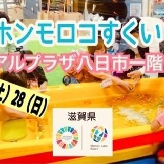 挑戦！ホンモロコすくい2日間