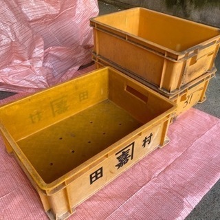 黄色いサンボックス【3箱まとめて！】の画像
