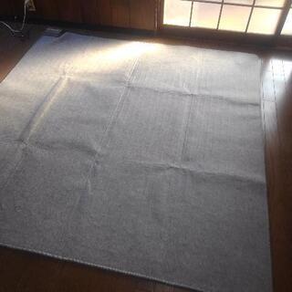 YUASA ホットカーペットの画像