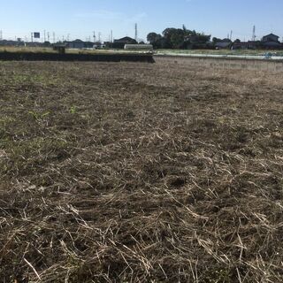 野木町潤島の南道路の148坪の土地　広い住宅用地をお探しの方にお勧め！！の画像