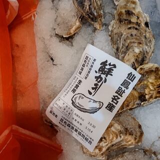 オイスター、牡蠣祭りスタッフの画像