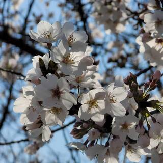 美容師募集～☆　知多郡でのお仕事です☆無理なく働けます☆パート募...