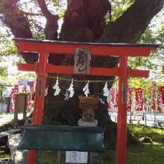 御朱印、パワースポット巡り(御朱印巡り〜WITHゆかいな仲間たち) − 東京都