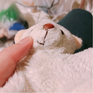 おんぼろ 白いくま ぬいぐるみの画像