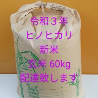 ヒノヒカリ ひのひかり 令和3年 新米 玄米 60kg 配達します No.2
