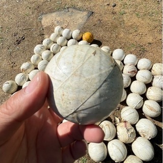 ボール　野球の画像