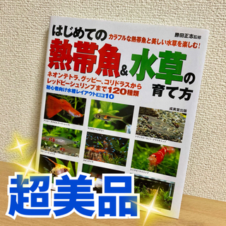 はじめての熱帯魚&水草の育て方