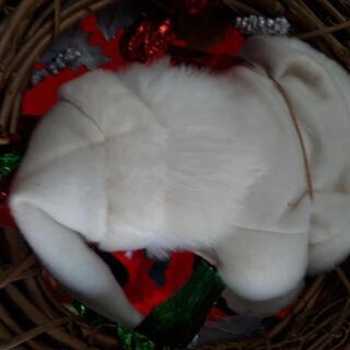 クリスマスリースの画像