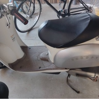 (譲り先決定)クレアスクーピーの画像