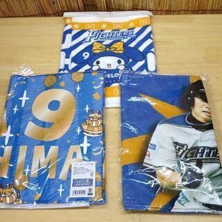  未使用 中島卓也 北海道 日本ハム ファイターズ 公式グッズ 17点セット 日ハム ☆ PayPay(ペイペイ)決済可能 ☆ 札幌市 豊平区 平岸の画像
