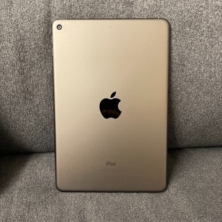 【使用少ない極美品】iPadmini5 64GB +ApplePencil+カバー+フィルムの画像