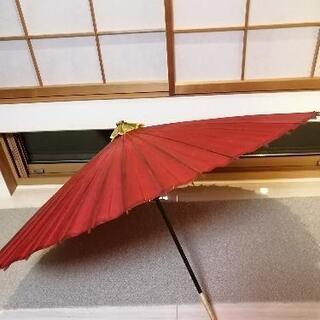 お話中です！唐傘　の画像