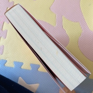 世界にはばたく女の子の名前 田宮規雄 著の画像
