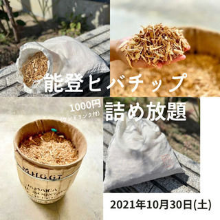 能登ヒバチップ詰め放題