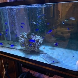 水槽　90cm フィルターセット