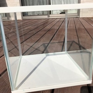 水槽2種　各500円【両方お取引中です】の画像