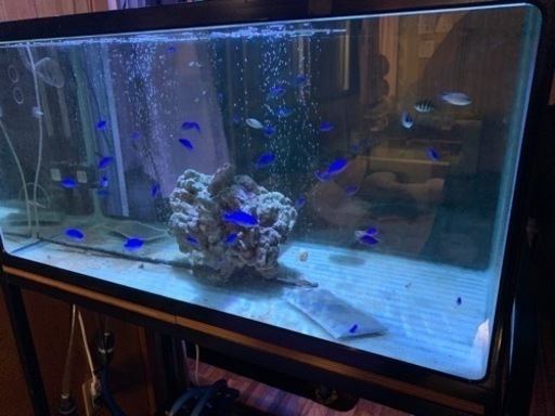 水槽　90 フィルターセット