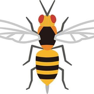 蜂バスターのお仕事　依頼受け付けています。