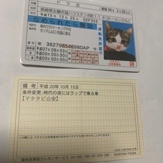 【値下げ】昭和レトロ、なめ猫、免許証、パロディカード