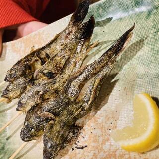期間限定！　美味魚の釣り体験♪　釣って食べよ～♪ - 江東区