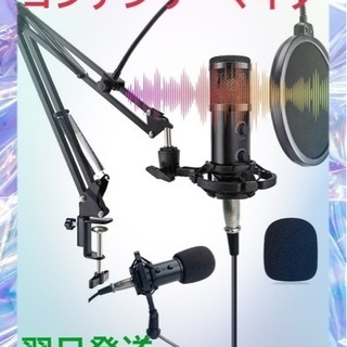 コンデンサーマイク USB XLR PC マイク エコー機能付き...