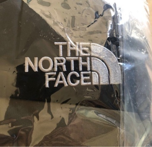 THE NORTH FACE  バルトロライトジャケット　ニュートープ